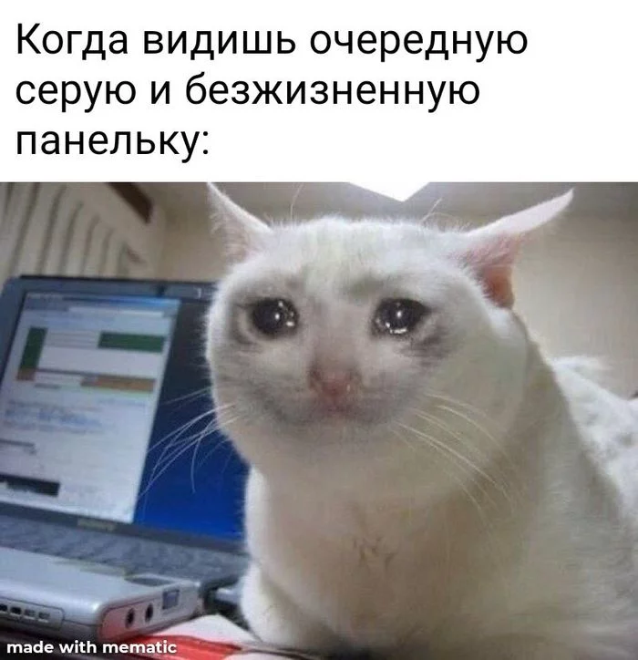 Sad - My, Memes, Architecture, Panel house, Sadness, cat, Problem, Khrushchev