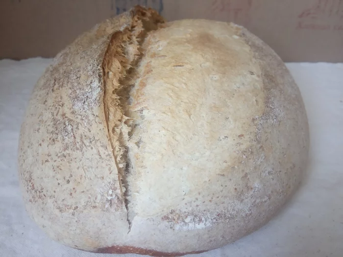 Successful sourdough. The myth about yeast-free sourdough bread - My, Recipe, Sourdough, Bread, Wheat, Longpost