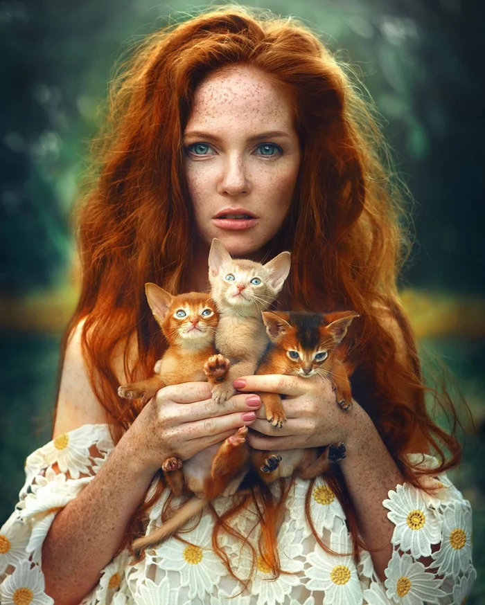 Redheads - cat, Kittens, Redheads, Girls, Beautiful girl, Milota, The photo, Freckles, Abyssinian cat