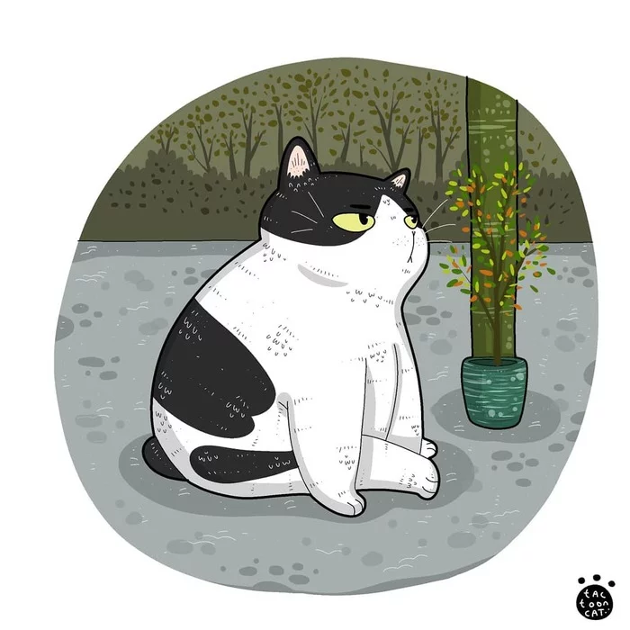 Котозарисовки - Арт, Рисунок, Кот, Tactooncat, Видео, Длиннопост