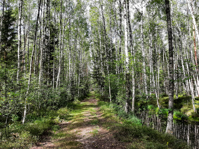 Как доехать до Мышкина на машине и не оставить подвеску на дороге Путешествия, Кемпинг, Авто, Мышкин, Отдых, Длиннопост