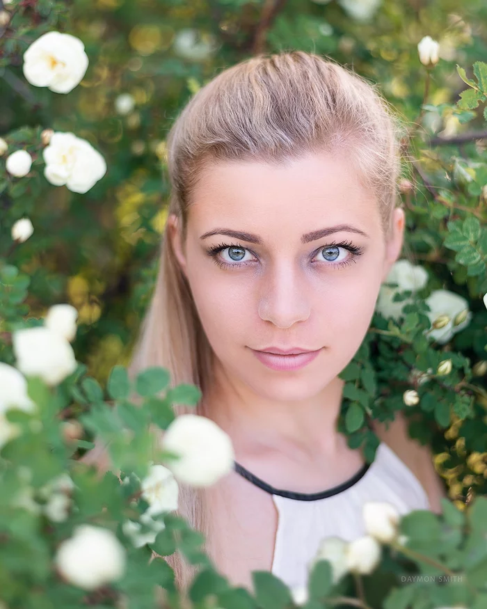 In roses - My, The photo, Flowers, Beautiful girl