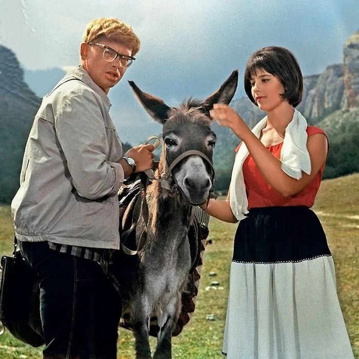 Few people know that the donkey from the film Prisoner of the Caucasus, or Shurik's New Adventures played in the film 9th Company - Caucasian captive, Movies, Female donkey, Longpost