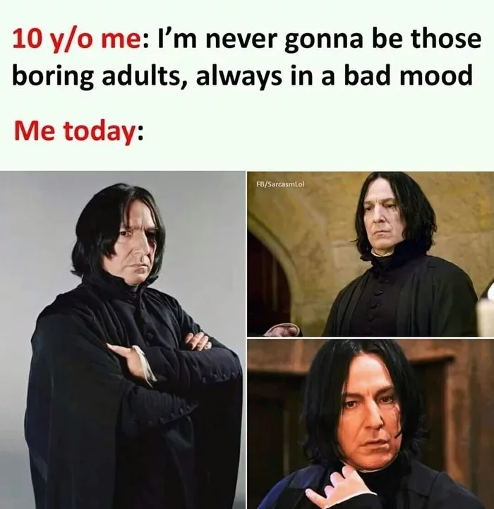 Time - Memes, Humor, Picture with text, Severus Snape, Adults, Children, Time, Growing up, Alan Rickman