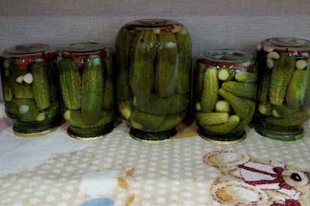 Crispy cucumbers for the winter with citric acid instead of vinegar - My, Pickles, Canning, Pickling, Vegetables, Cucumbers, Food, For the winter, Blanks, Longpost