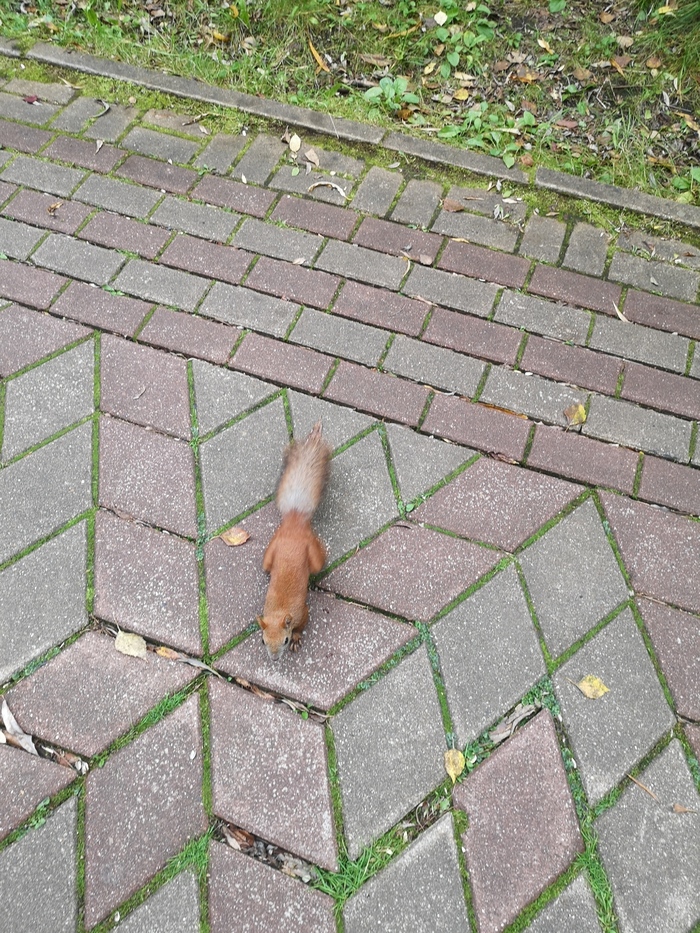   ? ,   ,   , , 