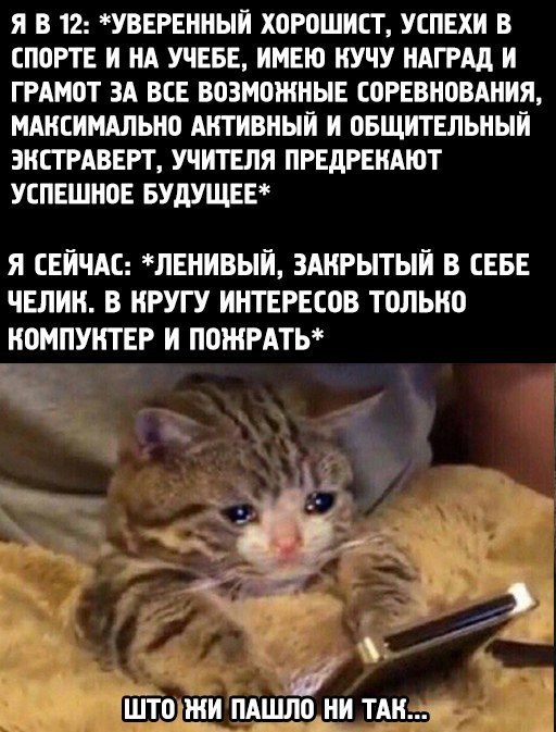   , 