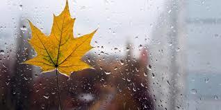 How not to fall into autumn depression? - My, Psychology, Psychotherapy, Depression, Autumn, Activity, Mood, Smile, Фрукты, , Air, Massage, Meditation, Relationship, Happiness, Love