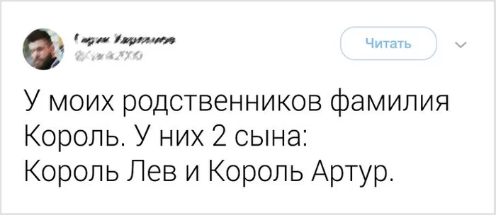 По царски - Юмор, Король, Скриншот, Фамилия, Имена, Twitter, Король Лев, Король Артур