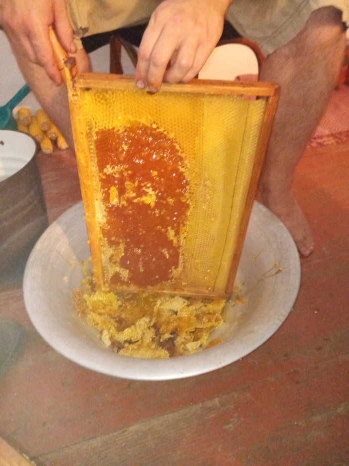   , , , , ̸, 