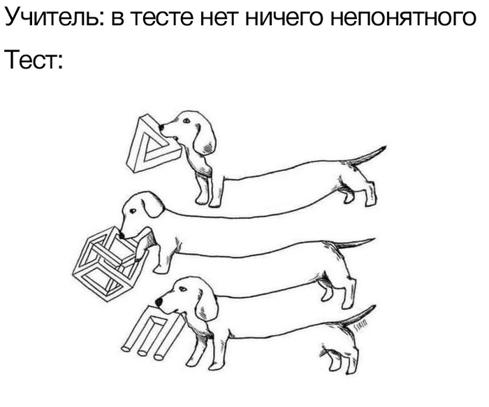 �������� �����