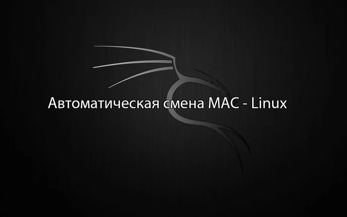 Changing MAC when connecting to the network | Kali Linux continued - My, Cryptocurrency, Hackers, Internet Service Providers, Protection, Anonymity, Breaking into