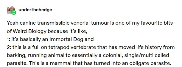 Immortal dog breed - Dog, Cancer and oncology, Interesting, Immortality, Translation, Longpost