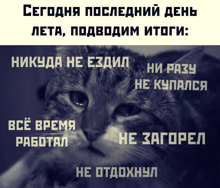 И ещё и арбуз нормально не поел