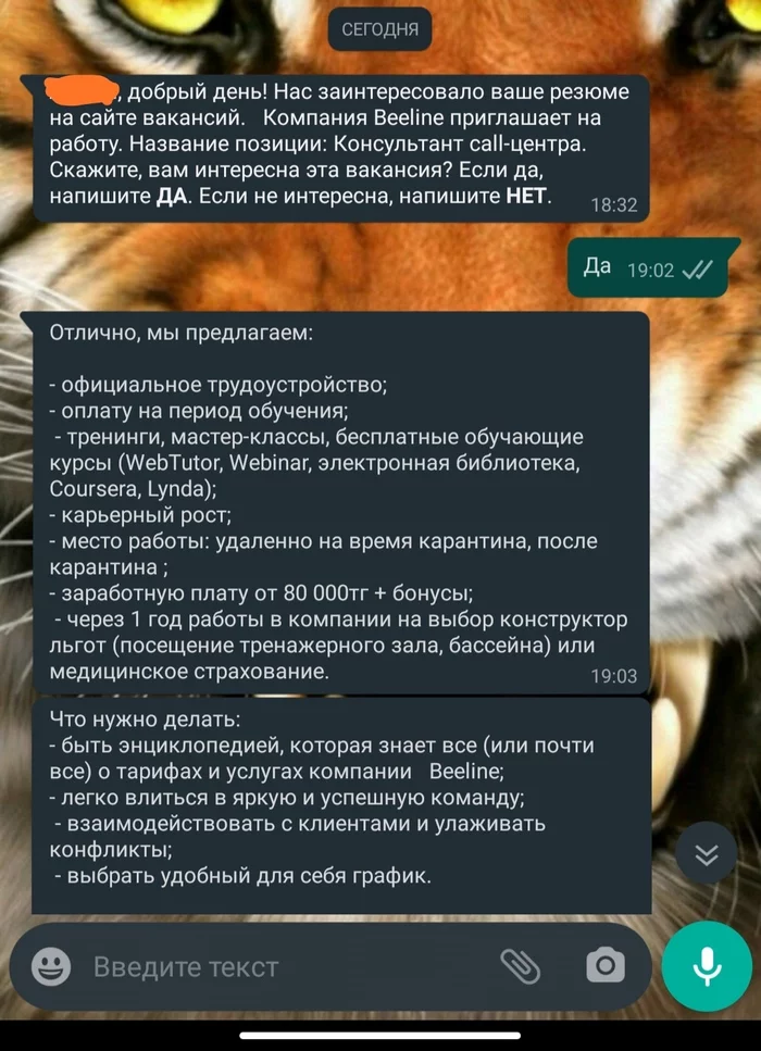 HR в Казахстане - Работа HR, Тест, Ошибка, Поиск работы, Длиннопост