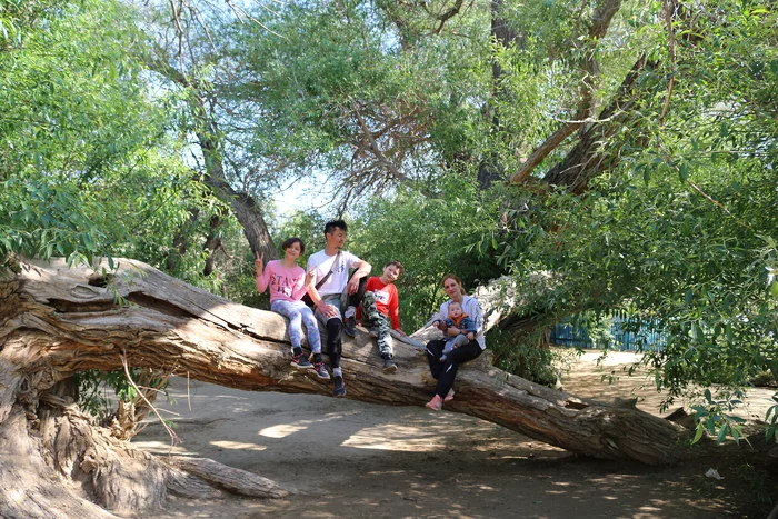 Reply to the post Give children happiness and your experience - My, Hike, Travels, Adventures, Children, Parents and children, Altyn-Emel, Kazakhstan, Reply to post, Longpost