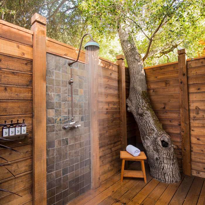 Summer shower - Shower, Interior, Interior Design, Tree