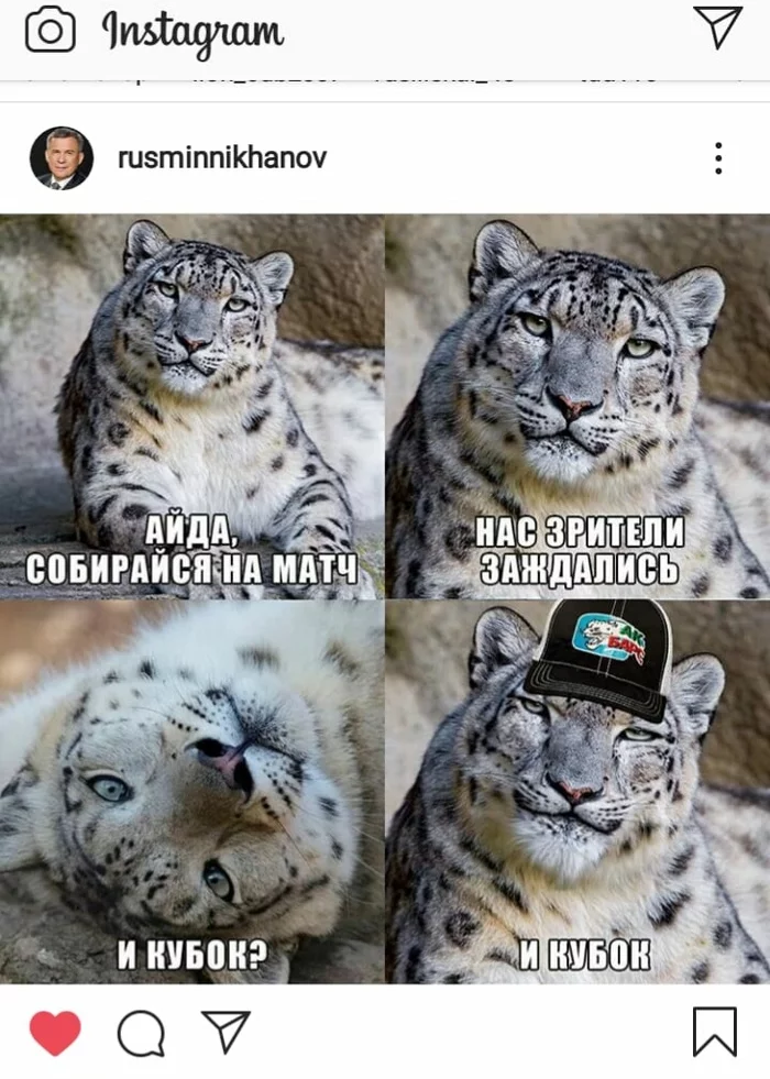 When the president himself missed hockey - Rustam Minnikhanov, Tatarstan, Hockey, AK Bars, Instagram, Picture with text, Leopard, Snow Leopard