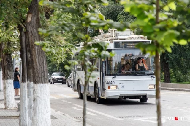 In Volgograd, a female conductor had her ribs broken and her fingers dislocated for demanding that she wear a mask. - Russia, Conductor, Beating, Volgograd, Public transport, Negative