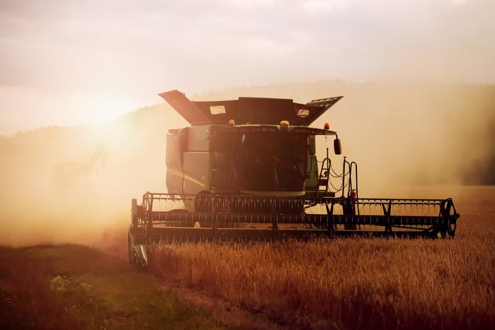 Is there a shortage of personnel in agriculture? Why don’t villagers want to work for 20,000 rubles? - My, Search, Work, Farm, Сельское хозяйство, In the village, Village