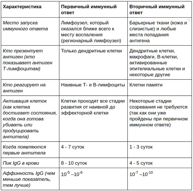 Наши внутренние войска: пОмни меня! - Моё, Иммунитет, Иммунология, Медицина, Биология, Видео, Гифка, Длиннопост