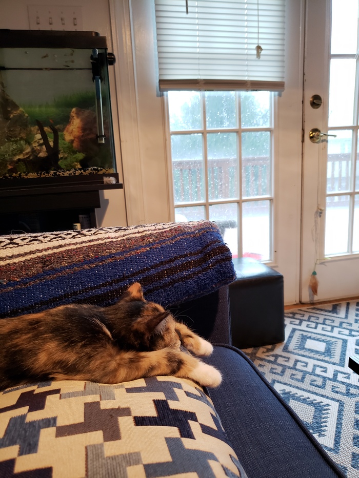 ����� �� ����� �����, � �� - ����� �����