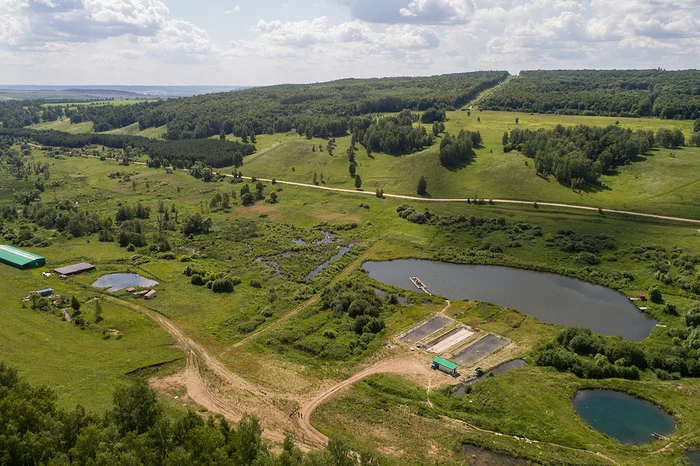 Water depletion and oxygen for trout: how one farm plans to supply the whole of Tatarstan with fish - My, Tatarstan, Entrepreneurship, Business, A fish, Longpost