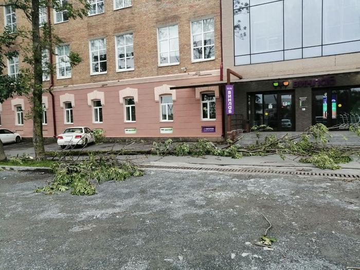 Владивосток, тайфун Майсак Владивосток, Тайфун, Видео, Длиннопост