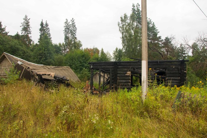 Ответ на пост «Заколоченная Россия. Побывал на Псковщине...» Псковская область, 2020, Провинция, Заброшенное, Ответ на пост, Длиннопост, Псков