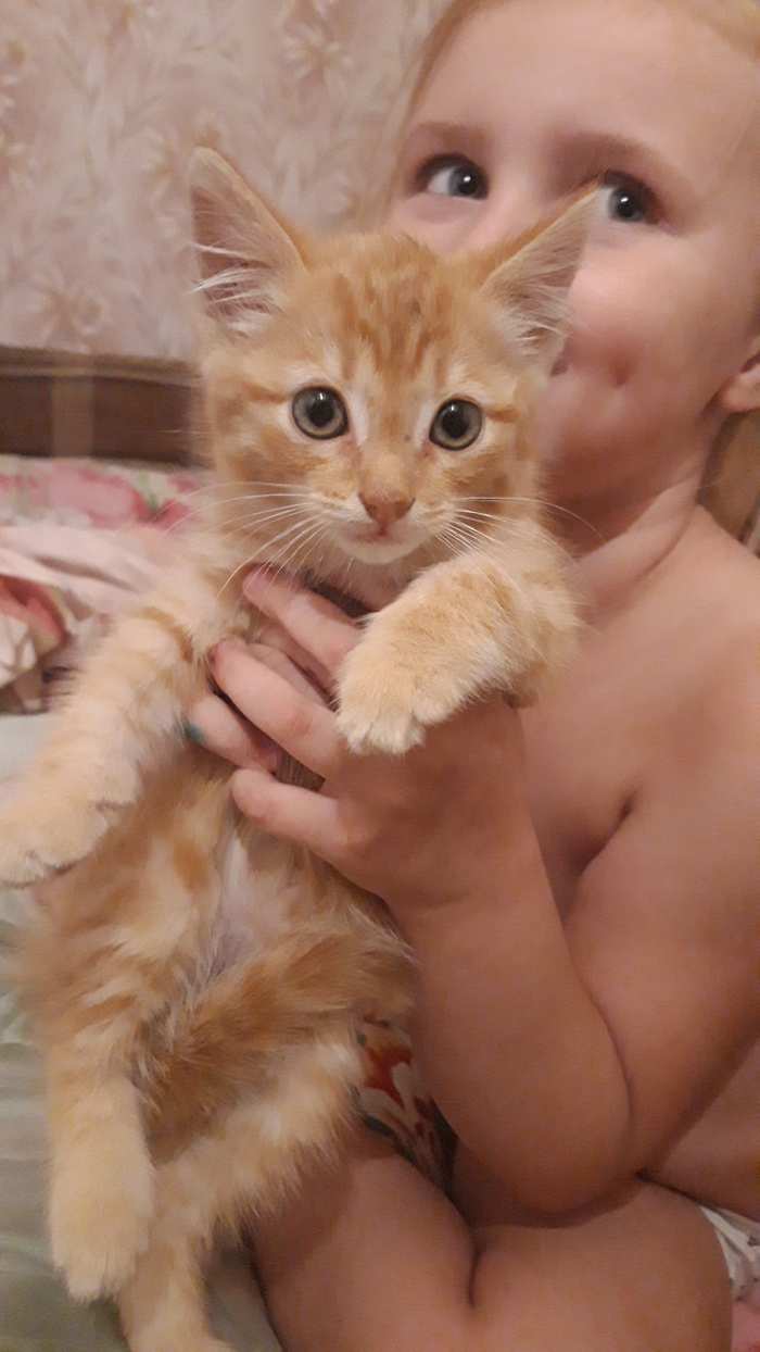 � ������ ����. ������ ���� ���