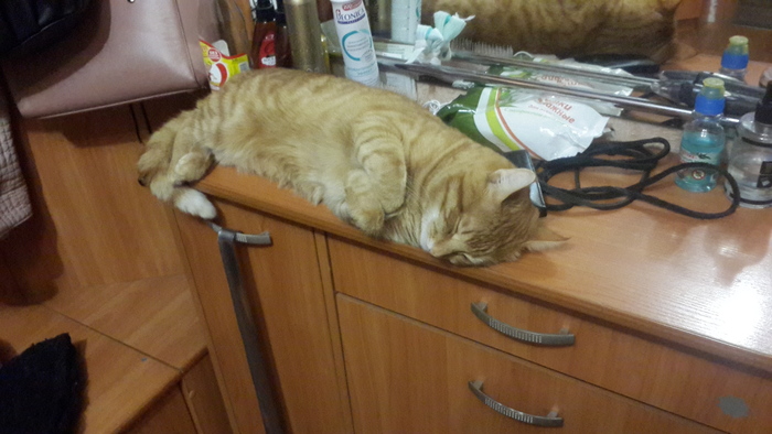 Котик устал