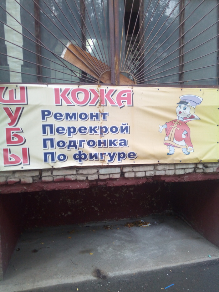 ������ ����