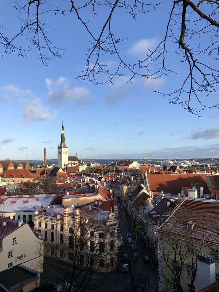 Reply to the post Roofs - My, Old city, Travels, The photo, Tallinn, Estonia, Roof, Reply to post
