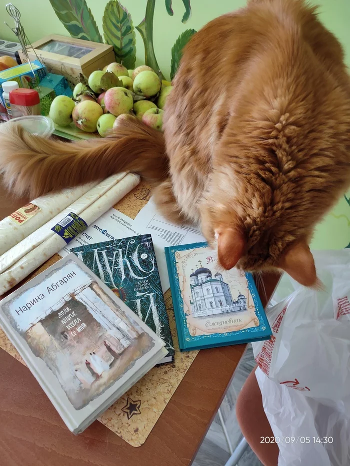 Bookturn 2.0 Voronezh-St. Petersburg - My, Gift exchange report, Gift exchange, Longpost, Books, Bookcrossing