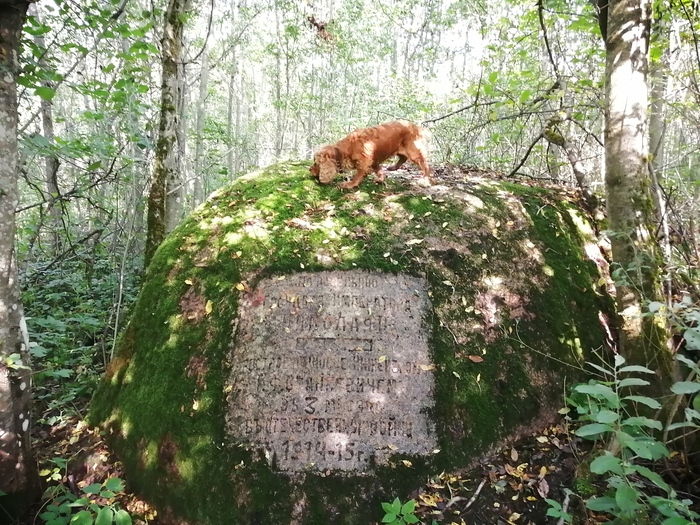 Продолжение поста «Ответ KOT268 в "Заколоченная Россия. Побывал на Псковщине. " Обратная сторона медали» Псковская область, 2020, Провинция, Заброшенное, Псков, Длиннопост