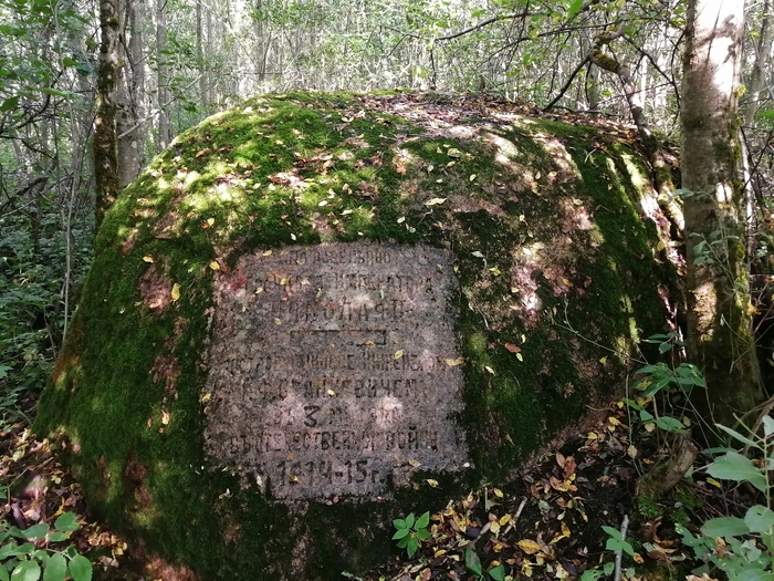 Продолжение поста «Ответ KOT268 в "Заколоченная Россия. Побывал на Псковщине. " Обратная сторона медали» Псковская область, 2020, Провинция, Заброшенное, Псков, Длиннопост