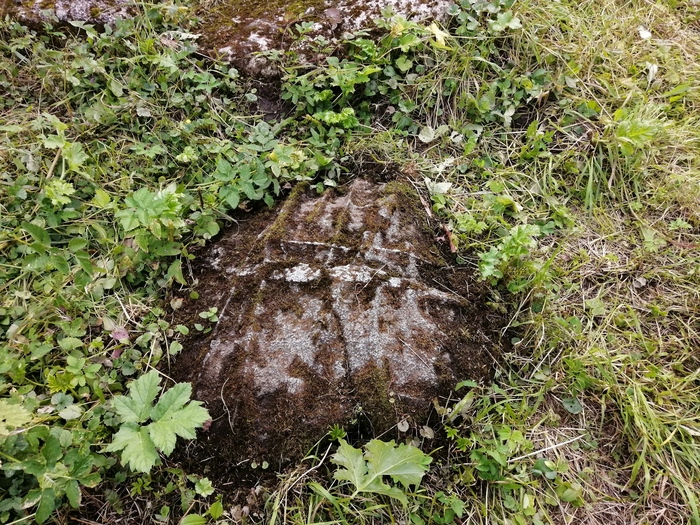 Продолжение поста «Ответ KOT268 в "Заколоченная Россия. Побывал на Псковщине. " Обратная сторона медали» Псковская область, 2020, Провинция, Заброшенное, Псков, Длиннопост