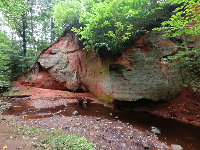 Продолжение поста «Ответ KOT268 в "Заколоченная Россия. Побывал на Псковщине. " Обратная сторона медали» Псковская область, 2020, Провинция, Заброшенное, Псков, Длиннопост