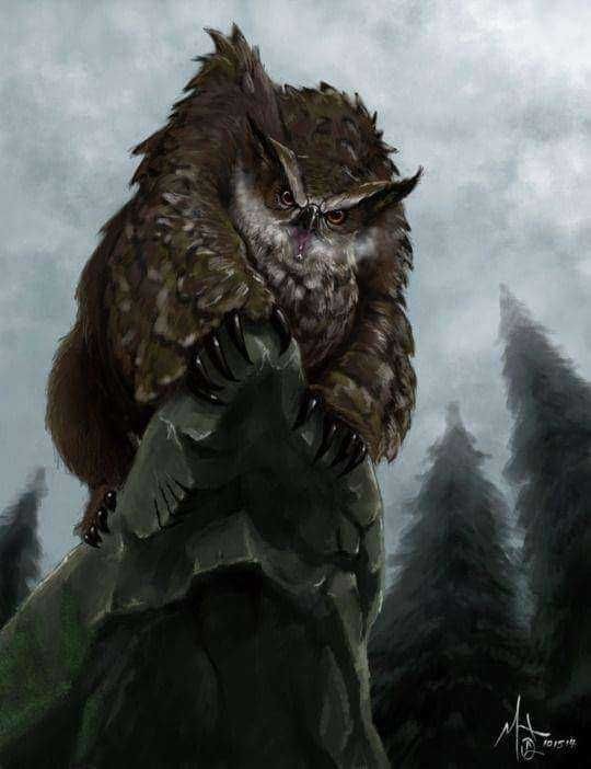 Owlbear - just a selection of consciences - Art, Dungeons & dragons, Bestiary, Fantasy, Longpost