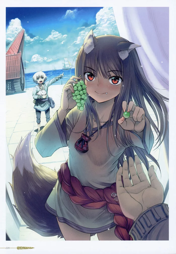 Will you? - Holo, Spice and wolf, Anime, Anime art, Scan, Light novel