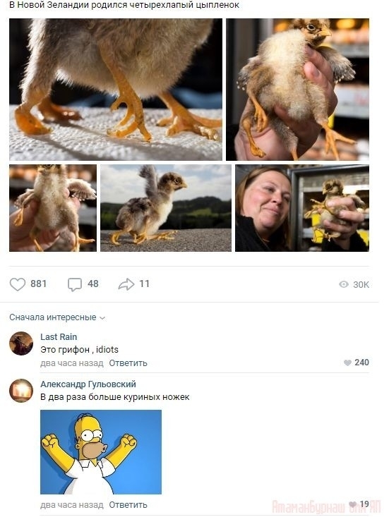 Ещё больше ножек!