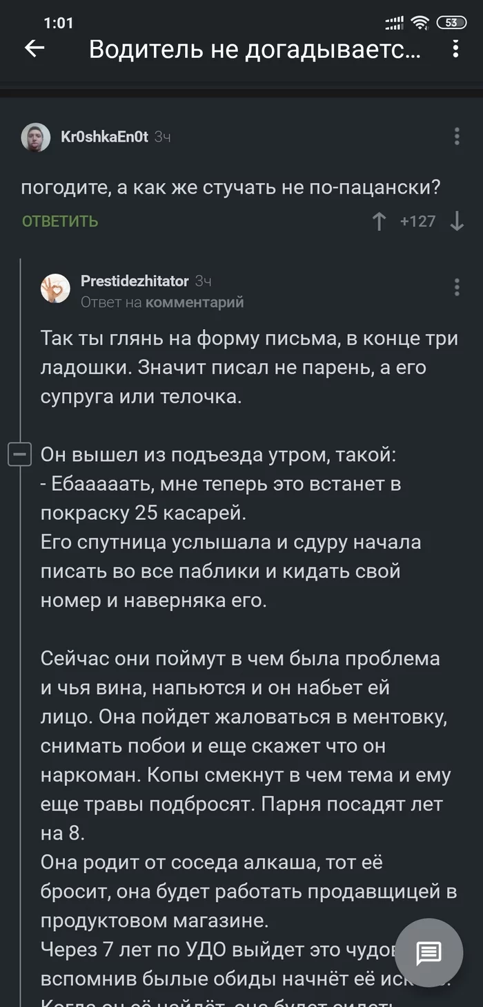 Drama of wrong parking - My, Screenshot, Comments, Неправильная парковка, Longpost, Everyday life