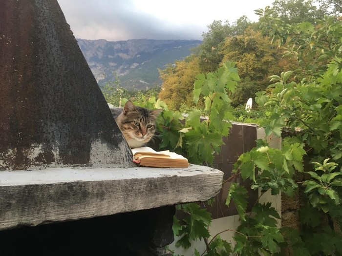 ��� ��������� �������� �������� ������ ������ �����? ��� ��������