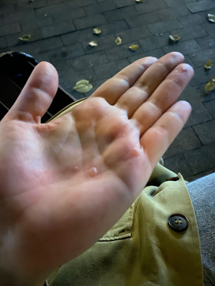    ,  , , 