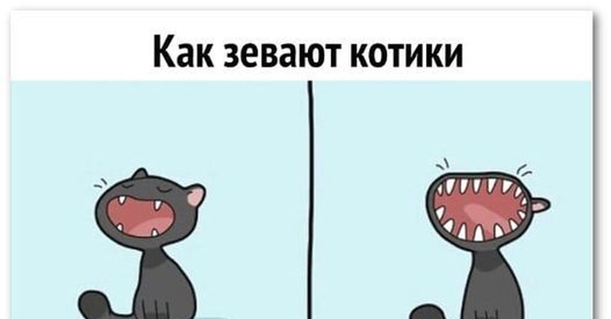 Как не к. Кот зевает Мем. Котик пикабу. Зевота мемы. Кот зевает арт.