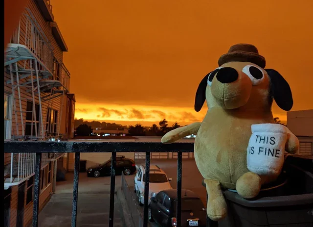 Everything is fine - Memes, Everything is fine, Dog, Reddit, This is fine, Fire, California, Forest fires, Soft toy, Sky