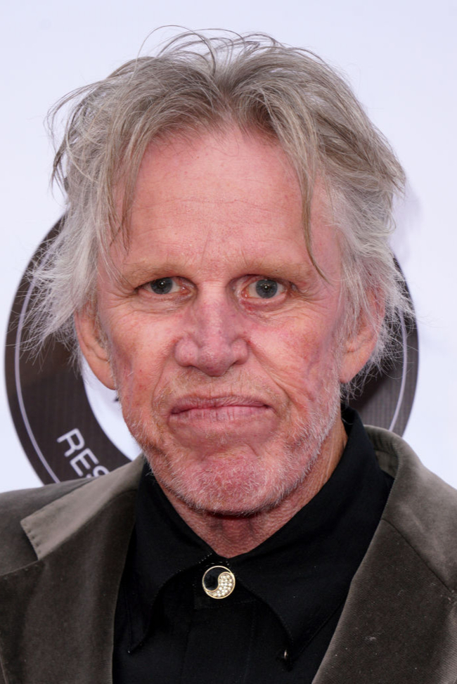 Gary Busey - My, Celebrities, Gary Busey, Longpost, Actors and actresses