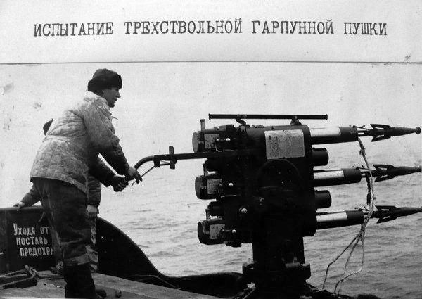 Whalers - the USSR, Fishing, Mining, Whaler, Longpost, Retro, The photo, Black and white photo, Old photo, Whale