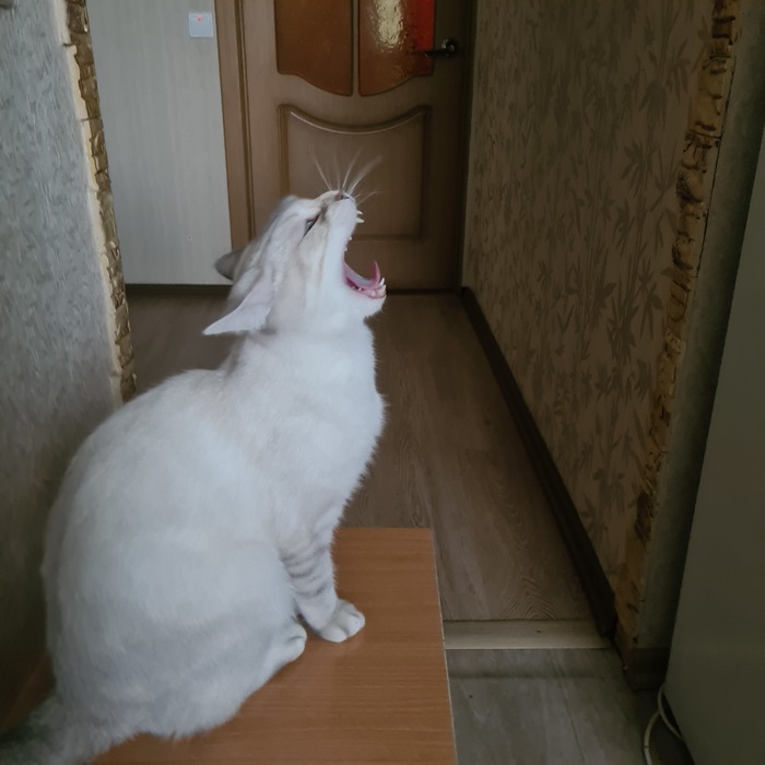 ����� �����, ��� ������ �����������...