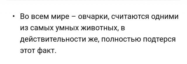 Граммар наци - Длиннопост, Исследователи форумов, Ошибка, Грамматика